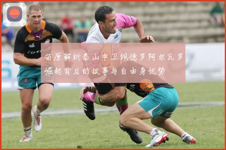 苗原解析泰山中卫佩德罗阿尔瓦罗崛起背后的故事与自由身优势