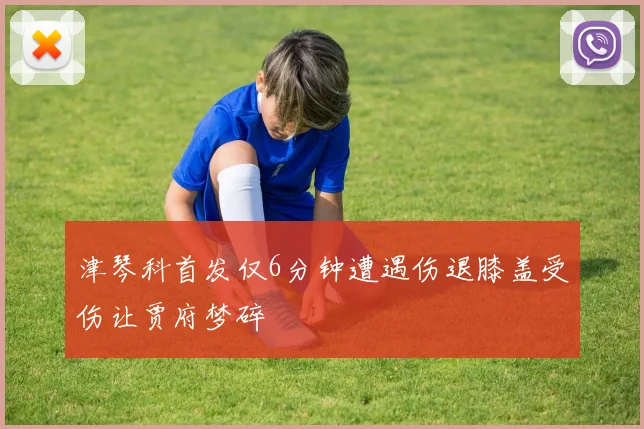 津琴科首发仅6分钟遭遇伤退膝盖受伤让贾府梦碎